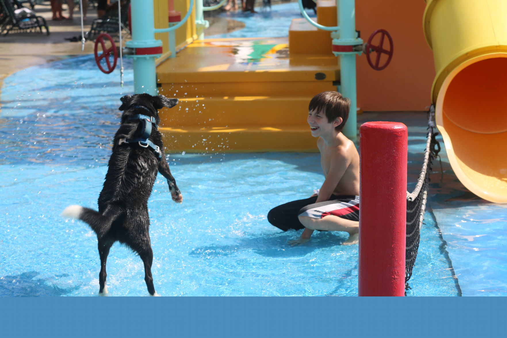 090919_gal_WWdogs (36)